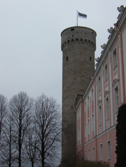 Tall Hermann - Tallinn
